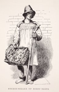 Street-seller of birds nests, illustration from London Labour and London Poor by Henry Mayhew, pub. 1862 by English School