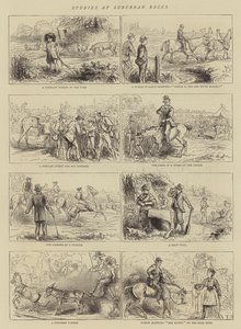 Studies at Suburban Races by English School