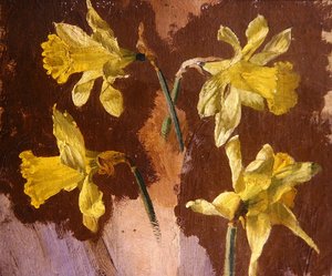 Study of daffodils, c.1830