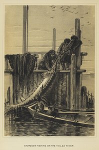 Sturgeon fishing on the Volga River by English School