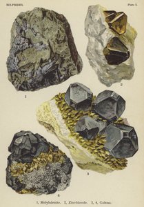 Sulphides, molybdenite, zinc-blende, galena by English School