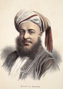 Sultan of Zanzibar, illustration from The Pictorial Edition of the Life and Discoveries of David Livingstone by J. Ewing Richie by English School