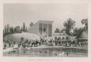 Surrey Zoological Gardens by English School
