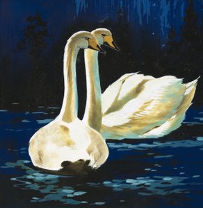Swans by English School