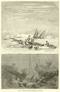 Syrian Sponge-Fishers at Work by English School