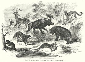 Tenants of the Upper Hudson Forests by English School