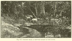Thames Head, a Reputed Source of the River by English School