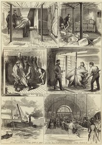 The American Fresh Meat Trade of Glasgow and London by English School