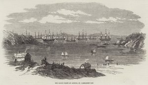 The Baltic Fleet at Anchor, in Elgsnabben Bay by English School