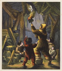 The Bear