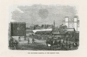 The Belvidere Gardens