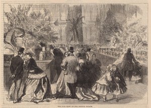 The Bird Show at the Crystal Palace by English School