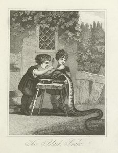 The Black Snake by English School