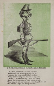 The Bold Volunteer