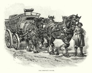The Brewer