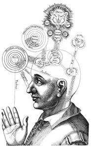 The Cabalistic analysis of the mind and the senses