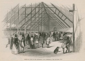 The Cattle Show of the Smithfield Club