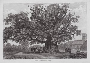 The Cowthope Oak