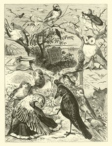 The Death and Burial of Cock Robin by English School