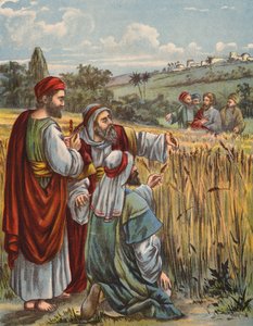 The Disciples Plucking Corn by English School