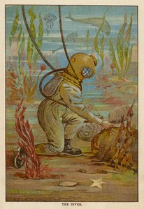 The Diver by English School