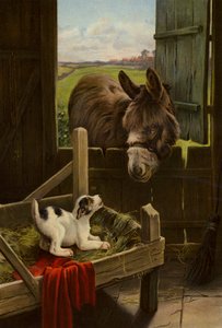The Dog in the Manger