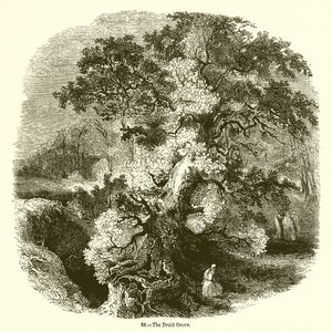 The Druid Grove by English School
