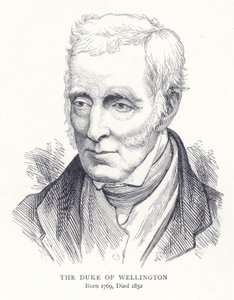 The Duke of Wellington by English School
