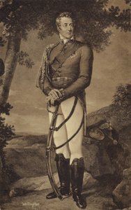 The Duke of Wellington