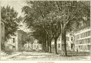 The Elms, Yale University by English School