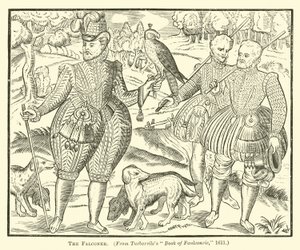 The Falconer