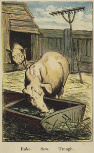 The Farmyard Alphabet by English School