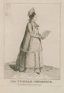 The Female Connoisseur by English School