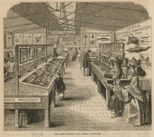 The Food Museum and Animal Products, South Kensington Museum by English School