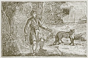 The Fox and the Countryman