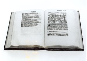 The Fox and the Grapes, from an Illustrated Translation of Aesop