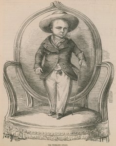 The Friesland Dwarf by English School