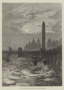 The Frozen Thames, Seagulls circling round Cleopatra