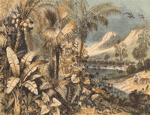 The Garden of Eden