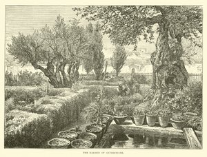 The Garden of Gethsemane