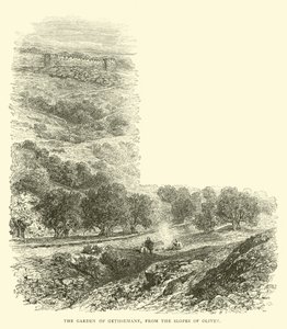 The Garden of Gethsemane, from the Slopes of Olivet by English School