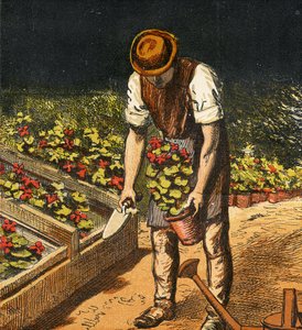 The Gardener