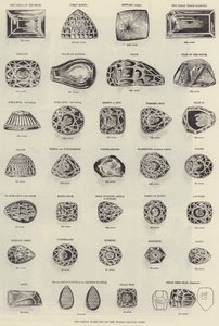 The Great Diamonds of the World by English School