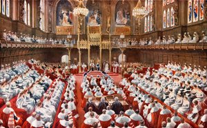 The House of Lords. The Opening of the Houses of Parliament by His Majesty the King