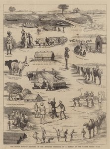 The Indian Famine, Sketches in the Affected Districts, by a Member of the Famine Relief Staff (engraving) by English School