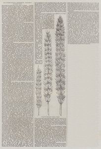 The International Exhibition, Hallett