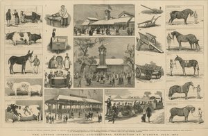 The London International Agricultural Exhibition at Kilburn, July 1879