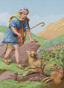 The Lost Sheep