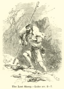 The Lost Sheep