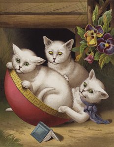 The Merry Kitten